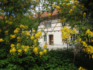 Hauseingang mit Bl�ten