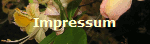 Impressum